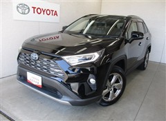 RAV4 ハイブリッドG