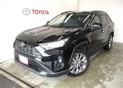 RAV4 G Zパッケージ