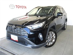 RAV4 G Zパッケージ