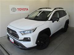 トヨタ　RAV4 AD オフロード PKG2