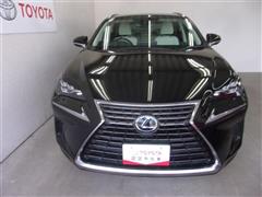 NX300h Iパッケージ