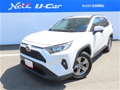 RAV4 X