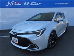 カロ-ラスポ-ツHV GZ