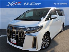 アルファードSタイプゴ-ルド2