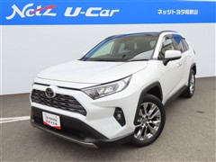 RAV4 G Zパッケージ