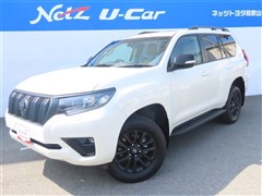 ランクル プラドTX LマットB
