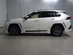 RAV4 G