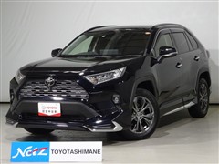 RAV4 G