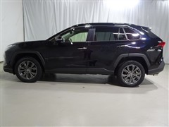 RAV4 ハイブリッドG