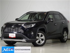 RAV4 G