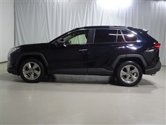 RAV4 G
