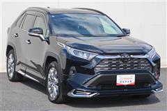 RAV4 G Zパッケージ
