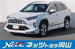 RAV4 G