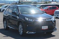 RAV4 G Zパッケージ