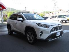 RAV4 G