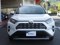 RAV4 G