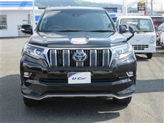 ランドクルーザープラド TZ-G
