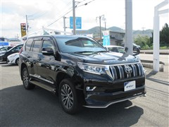 ランドクルーザープラド TZ-G