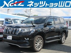 トヨタ ランドクルーザープラド TZ-G