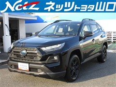 トヨタ RAV4 HVアドベ オフロード2