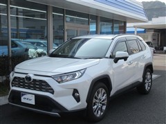 RAV4 G Zパッケージ