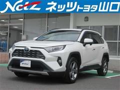 RAV4 ハイブリッドG