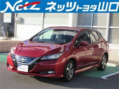 リーフ X