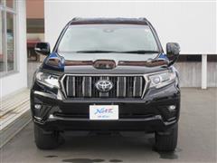 ランクルプラドTX L BL ED