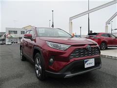 RAV4 ハイブリッドG