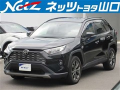 RAV4 G