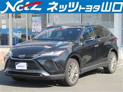 ハリアー Z レザーパッケージ