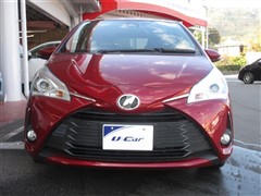 ヴィッツ F セーフティエディ3