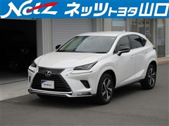 レクサス NX300 Spice&Chic