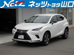 レクサス NX300 Spice&Chic