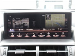 NX300 Spice&Chic