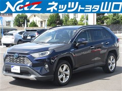 トヨタ RAV4 ハイブリッドG
