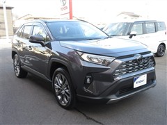 RAV4 G Zパッケージ