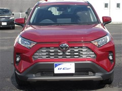 RAV4 G