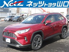 RAV4 G