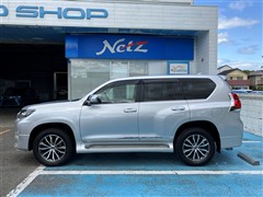 ランクルプラド TZ-G