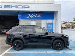 RAV4 アドベンチャー オフP 2