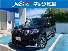 ランクルプラド TZ-G