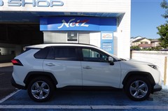 RAV4 G 4WD