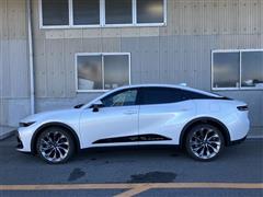 クラウン CO Gアド レザーP