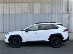 RAV4 アドベンチャー オフロー2