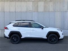 RAV4 アドベンチャー オフロー2