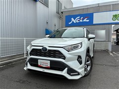 RAV4 ハイブリッドG
