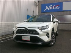 RAV4 G Zパッケージ