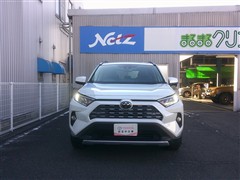 RAV4 G