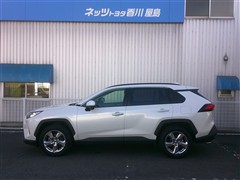 RAV4 G